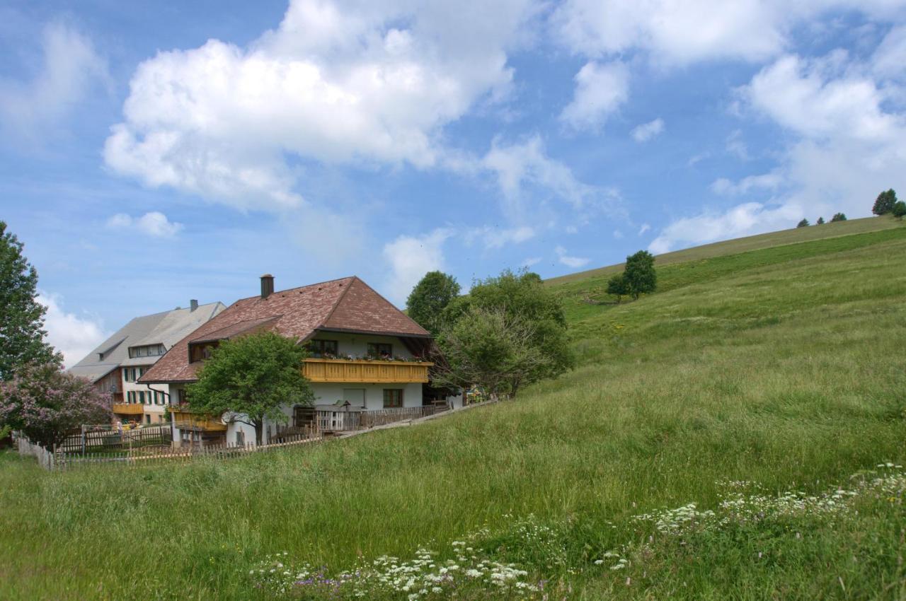 Апартаменти Mittlerer Itzenwaldhof - Heimkehr Мюнстерталь Екстер'єр фото